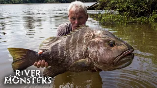 The BIGGEST FISH caught in Season 9 of River Monsters