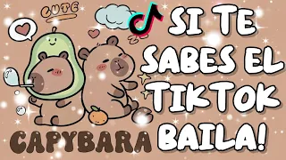 SI TE SABES EL TIKTOK BAILA! - 2025