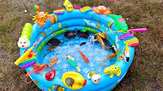 Memancing Ikan Hias Dikolam, Ikan Koi, Ikan Laut, Buaya, Kura Kura Asli, Bebek, Katak, Part221