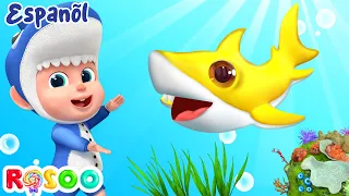 Baile del Tiburón Bebé + Baby Shark + Canción de Natación | Canciones Infantiles | Rosoo en Español