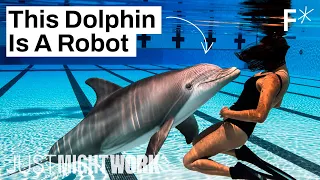 How robots could end animal captivity in zoos and marine parks | Just Might Work