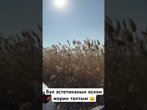 Элдер кытайдан заказ кылышат экен,озубуздо толтура осот экенго😃