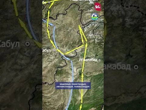 В Кыргызстан вернулась стервятница после миграции почти в 12 тысяч километров