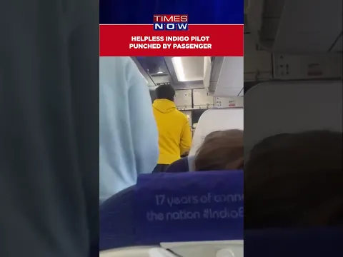 Indigo Flyer Attacks Pilot After 13-hour Delay In Departure #shorts