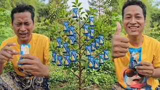 Survival Skills Growing in the Forest #survival #outdoors #camping #forest #grow #shorts