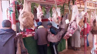 اللحوم جمال في سوق الأربعاء سويهلة وفرجة ممتعة
