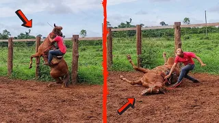 CAVALO QUASE SE M4T4 NA DOMA COM O BOIADEIRO MONTADO