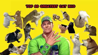 TOP 20 GREATEST CAT RKO