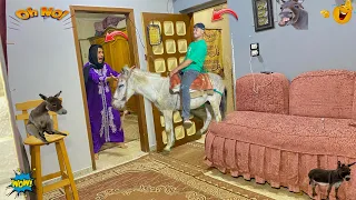 عمر جاب حمار 🦓 ودخله البيت عند امه 🤣😱|عمر نصر
