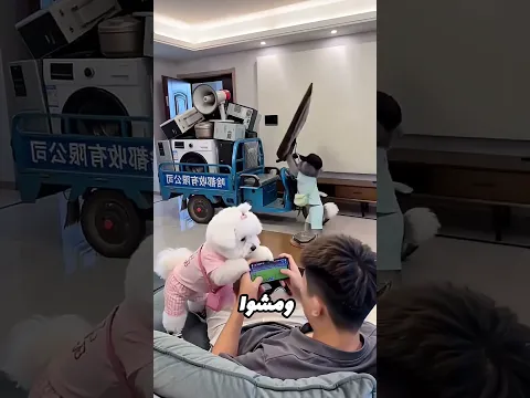 عصابة كلاب عملوا أكبر سرقة! 😱