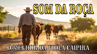 🔴 05 Horas De #MODÃO DE VIOLA Caipira/Viola Cabocla