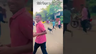 शिये श्वान श्वान शर्यत | #dograce