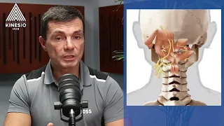 ГДЕ ПЕРЕДАВЛИВАЕТСЯ  Блуждающий нерв? все что Вас интересовало - Объясняет Глеб Кирдогло