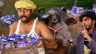 I turned a milkman into a millionaire