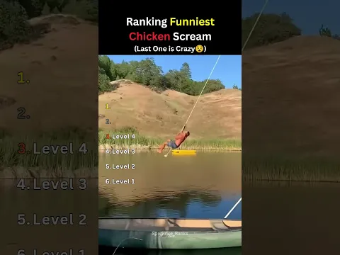 Ranking The Funniest Chicken Scream part 3