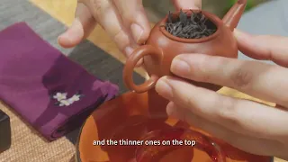 The Science of Gong Fu Cha