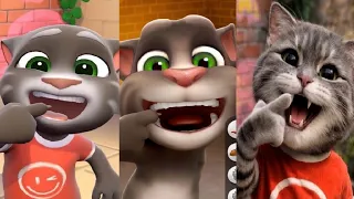 Talking Tom Cat Old version VS New version vsTalking Tom Cat In Real Life (Concept)  Gameplay