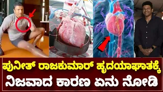 ಪುನೀತ್ ರಾಜಕುಮಾರ್ ಸಾವಿನ ನಿಜವಾದ ರಹಸ್ಯ ಬಯಲು. | Reasons For Puneeth Rajkumar Heart Attack cardiac arrest