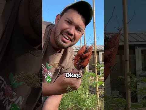 I learned to garden for these harvests...