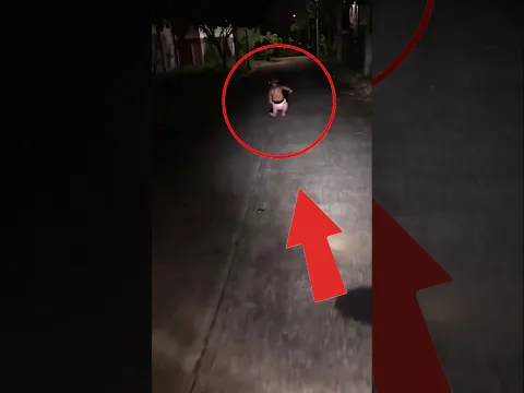 If You See This at Night… Don’t Move 😨