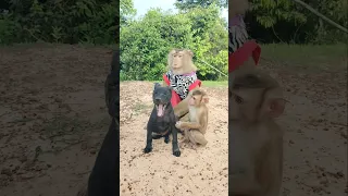 Amazing Video Best SokYaa,OG, Pao & Mom Are Famous Around The World #shorts