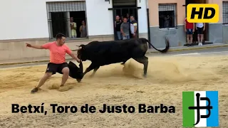 TORO DE JUSTO BARBA EN SANT JOAN, BETXÍ
