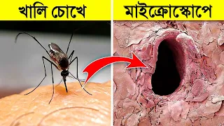 এগুলো শুধুমাত্র Microscope এ দেখা যায়- অবাক কান্ড | Things You Can See Only Under Microscope Bangla