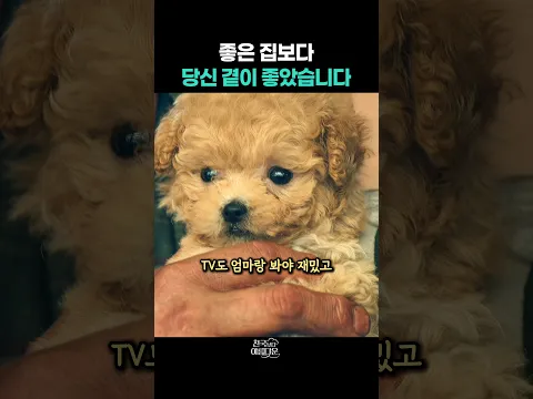 좋은 집보다 당신 곁이 좋았습니다