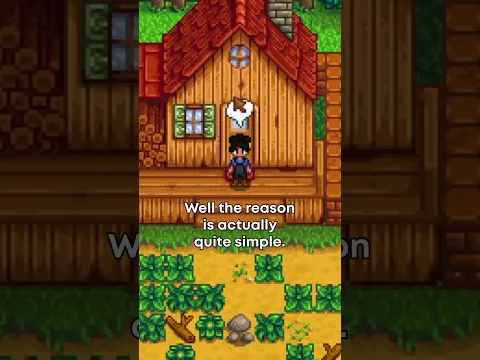 Why Do Stardew Speedrunners Always Play as a Woman?