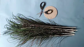 Peacock Feather Wall Hanging Craft Ideas | Waste Peacock Feather Reuse Idea 😇🤩