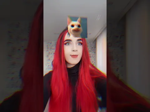 #filter : Meme Cat Test (App :Tiktok)