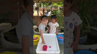 Who wins the ludo luck challenge ??