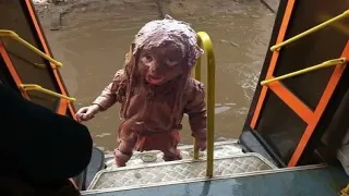 SI TE RÍES PIERDES NIVEL DIFÍCIL🤣 [999.99 IMPOSIBLE NO REÍRSE] 😅 Video De Risa Muy Graciosos 2024 😂