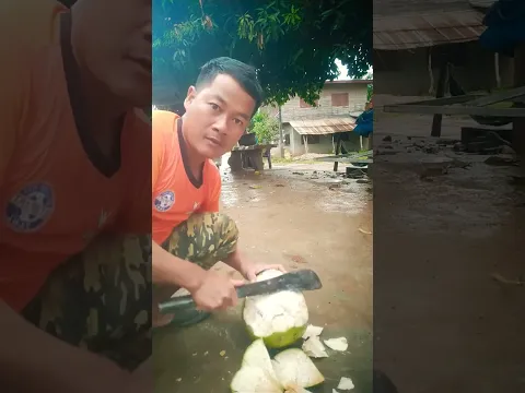 ມະພ້າວອອນ