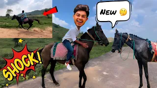 New !! Horse dekhne gaye 🤔😍🥰