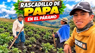 Rascadillo de Papa en el Páramo Ecuatoriano.