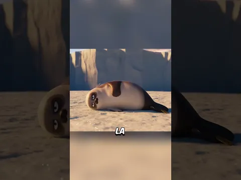 Es la foca más linda que hayas visto jamás ❤️