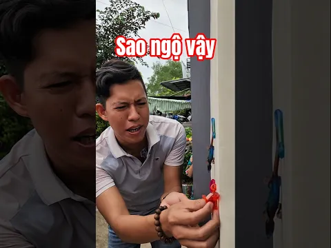 Á ! Tắc kè