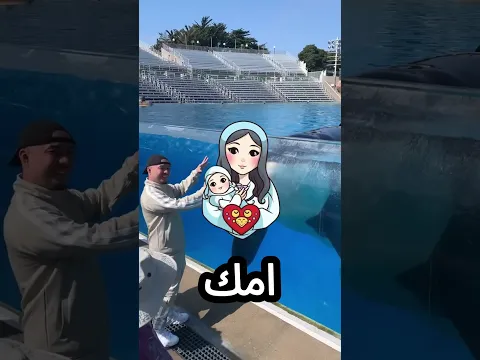مغامر يتحدى الحوت القاتل لكن النهاية غير متوقعة! 😢