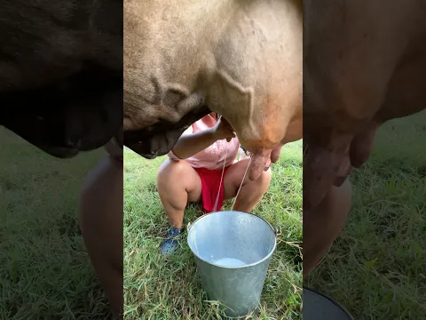 Ordeñando 🐮