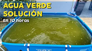 COMO TRATAR EL AGUA VERDE EN 10 HORAS