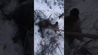 "Розыскта" жүргөн карышкыр акыры колго түштү.