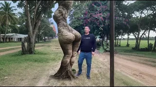 A man was hit by a beautiful uncle while walking