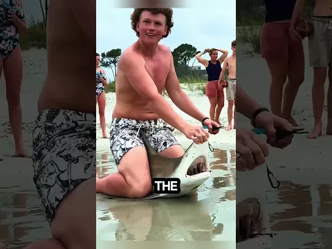 🦈🔥 Adolescente Salva a un Tiburón Atrapado y lo que Pasó Después Sorprendió a Todos 😱🌊 #animals