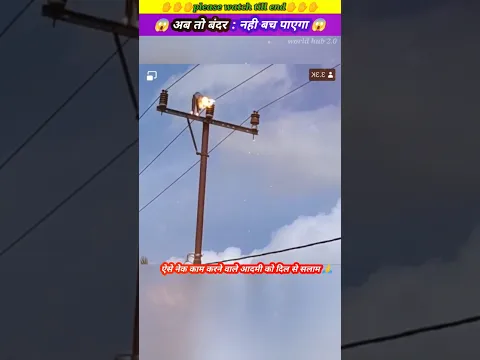 अब तो बंदर नही बच पाएगा 😭🙏 #animal #animals #animallover #animalrescue #monkey
