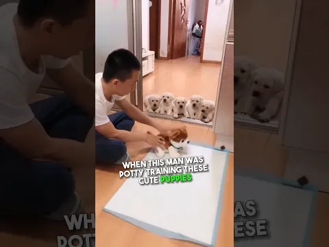 This man’s potty training method is insane 😳