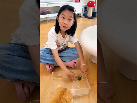 They Thought These Were Turtle Eggs… But They Were Boiled!