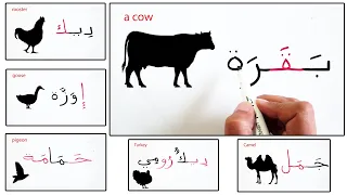 قراءة وكتابة اسماء الحيوانات المزرعة حرف حرف محو الامية Reading Farm animals names in Arabic
