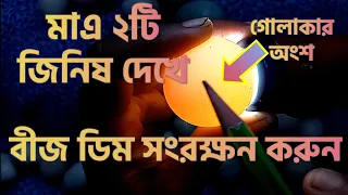 বীজ ডিম চেনার উপায়