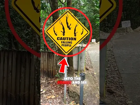 If you ever go into the forest and see this sign, turn back⚠️😱